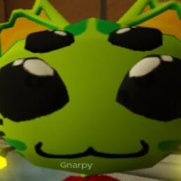 gnarpy