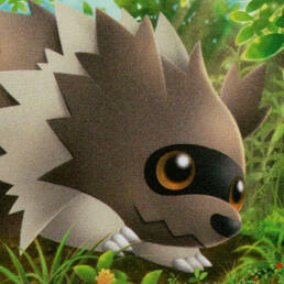 zigzagoon